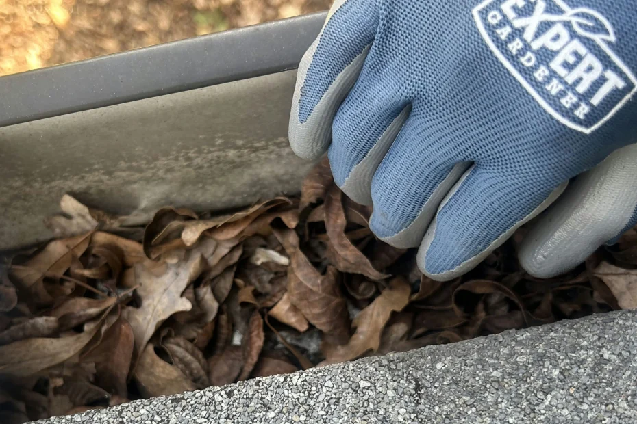 Gutter Cleaning Cameron LA